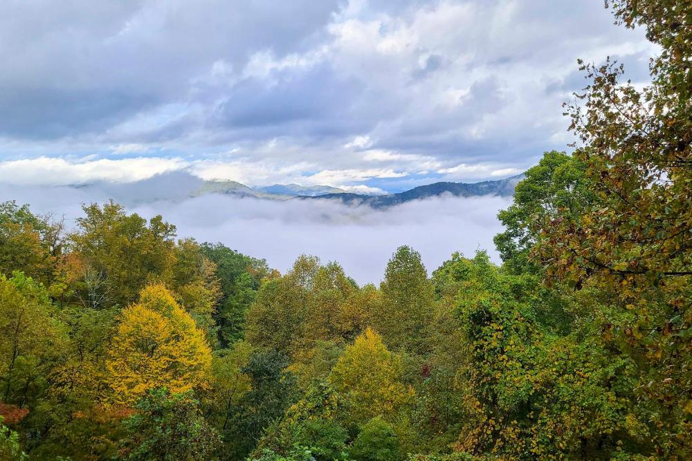 Smoky Mountain Cabin with Hot Tub and Views!